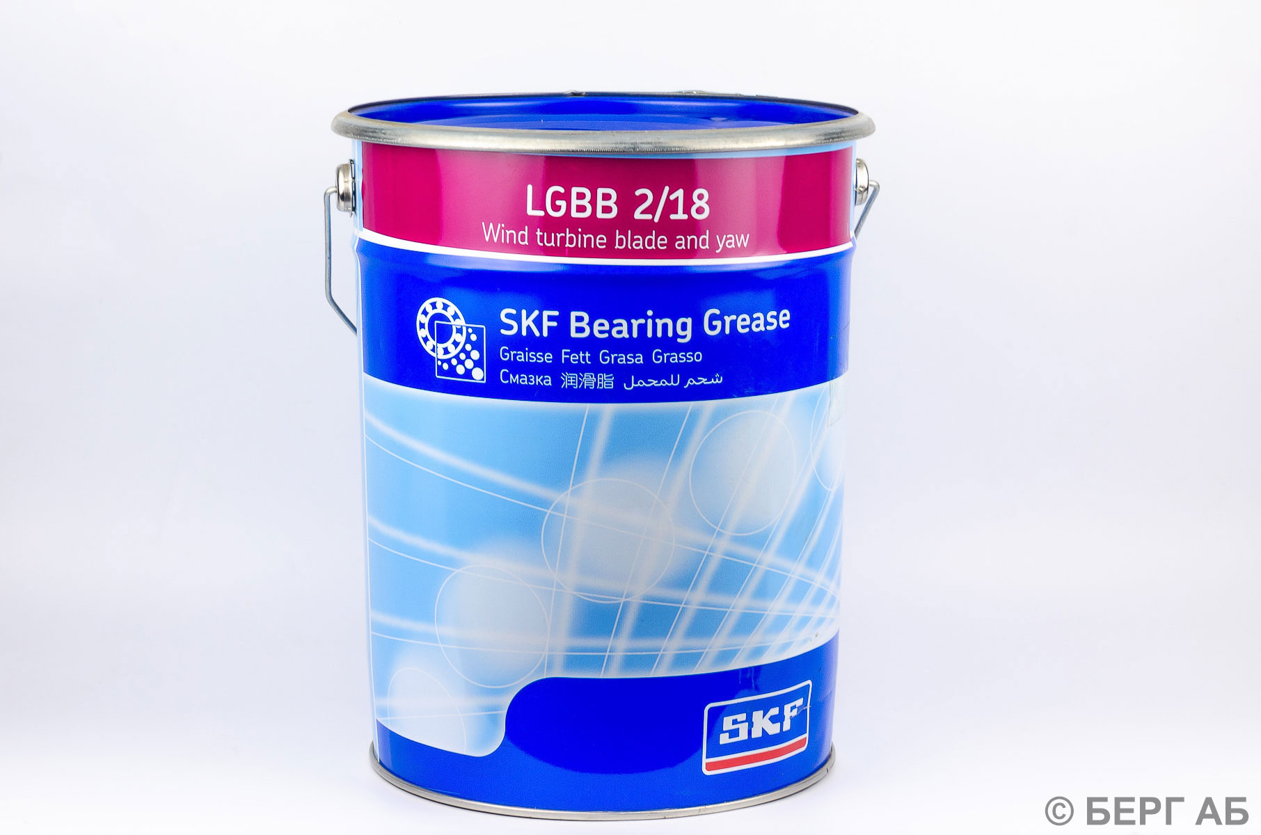 : SKF</br> .  . LGBB 2/18